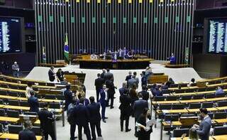 Deputados analisam propostas no Plenário durante sessão desta terça-feira (6) (Foto: Zeca Ribeiro/Câmara dos Deputados)