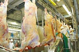Bovinos classificados como novilho precoce são abatidos em frigorífico de MS; produção já representa 40% dos abates da pecuária. (Foto: Arquivo/Semadesc)