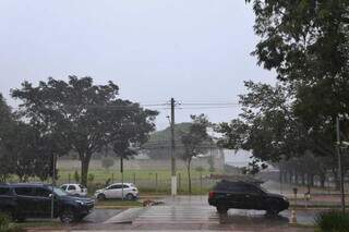 No Parque dos Poderes, em Campo Grande, chuva começou fraca e se intensificou (Foto: Paulo Francis)