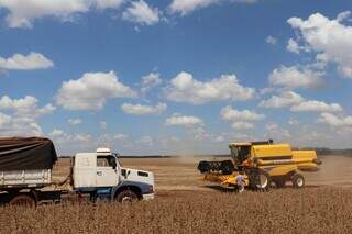 Agricultor acompanha colheita da soja em propriedade rural de MS; queda na produtividade é geral. (Foto: Arquivo/Semadesc)