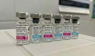 Vacinas contra dengue disponibilzadas a Dourados, município que iniciou os testes (Foto: Rogério Vidmantas)