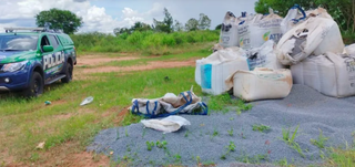 Soja tratada foi descartada em lixão e chamou atenção pela quantidade. (Foto: MS Todo Dia)