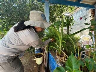Agente de endemias Marlene faz a vistoria de plantas em quintal da casa de Maria (Foto: Marcos Maluf)