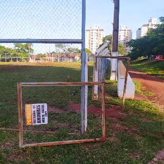 &quot;Zerinho&quot; em caminhonete destr&oacute;i port&atilde;o e gramado de campos de futebol em bairro