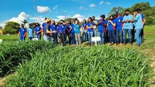 Estudantes da Escola Agrícola Governador Arnaldo Estevão de Figueiredo, em Campo Grande (MS), recebem orientações com uso de cultivares desenvolvidas om o kit