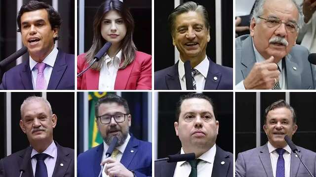 Bancada de MS na C&acirc;mara dos Deputados votou com o governo Lula em 68% das vezes 