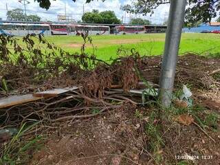 Lixo foi jogado em terreno perto do Terminal Nova Bahia (Foto: Direto das Ruas)