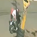 Em plena tarde, mulher pega shih-tzu na rua e coloca em baú de moto
