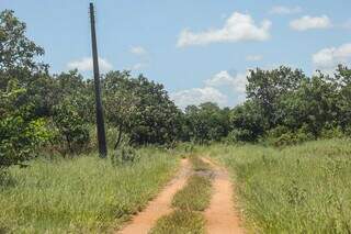 Uma trilha foi feita para permitir acesso à área isolada (Foto: Henrique Kawaminami)