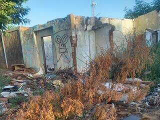 Casa abandonada foi tomada por mato alto, lixo e usuários de droga (Foto: Direto das Ruas)