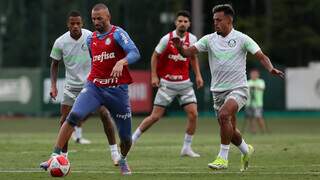 Preparação do Palmeiras para o duelo contra o São Bernardo (Foto: Cesar Greco)