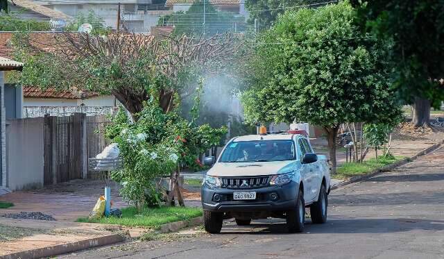 Quatro bairros da Capital ser&atilde;o atendidos com fumac&ecirc; nesta ter&ccedil;a-feira 