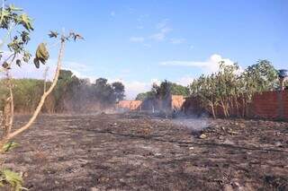 Fumaça ainda vista no terreno após controle das chamas (Foto: Paulo Francis)