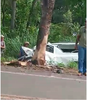 Motorista de funerária perde o controle do carro, bate em árvore e morre