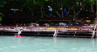 Lixo deixado por visitantes às margens do Rio Formoso, em Bonito. (Foto: Reprodução)