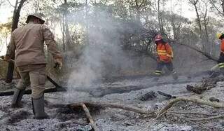 Bombeiros em combate ao fogo no Pantanal, que destruiu 1 milhão de hectares do bioma em 2023 (Foto: Campo Grande News/ Arquivo))