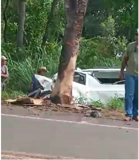 Motorista de funerária perde o controle do carro, bate em árvore e morre