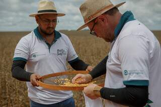Técnicos do Rally da Safra avaliam produção de soja em propriedade agrícola. (Foto: Divulgação/Agroconsult)