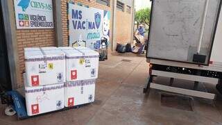 Imunizantes na coordenadoria estadual já podem ser retirados pelos munícipios (Foto: Divulgação)