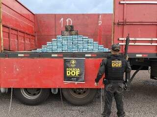 Drogas apreendidas em operação do DOF em Maracaju (Foto: Divulgação) 