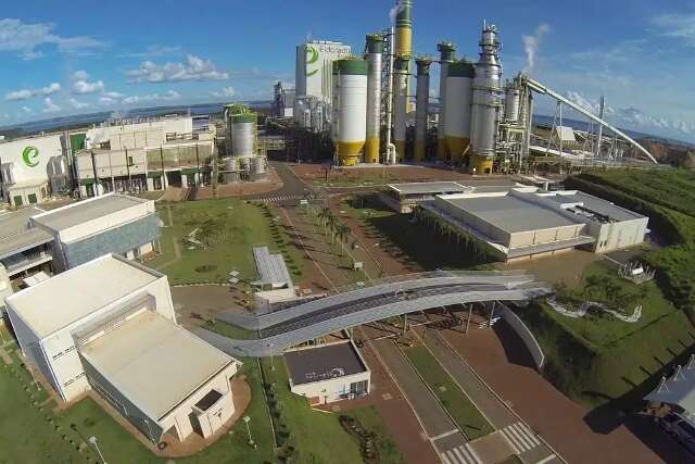 Incra nega recurso da Paper por f&aacute;brica de celulose em Tr&ecirc;s Lagoas