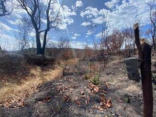 Área atingida pelo fogo na Serra do Amolar (Foto: divulgação IHP)