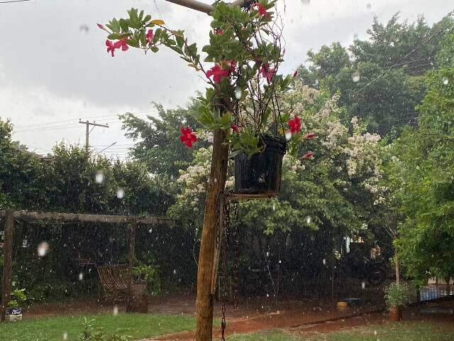 Com alerta de forte intensidade, chuva come&ccedil;a a chegar a bairros da Capital