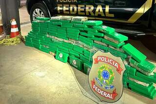 Tabletes de cocaína que estavam ocultos no veículo (Foto: Divulgação/PF)