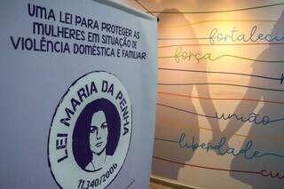 Cartaz sobre Lei Maria da Penha na Delegacia Especializada de Atendimento a Mulher (Foto: Henrique Kawaminami)