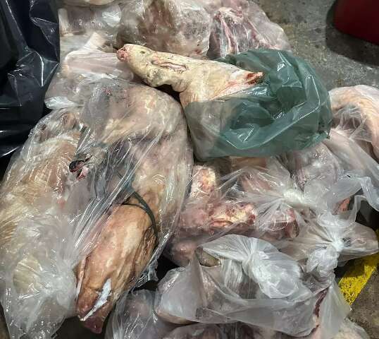 Pol&iacute;cia apreende 1 tonelada de carne clandestina e dono de mercado &eacute; preso