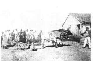 Arados com tração animal eram usados pelos pioneiros na produção agrícola (Foto: Arquivo/Arca)