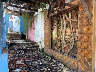 Raiz de árvore se tornou parte de parede e divide espaço com os escombros. (Foto: Thailla Torres)
