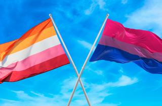 Bandeiras representativas das mulheres bissexuais e lésbicas. (Foto: Divulgação)