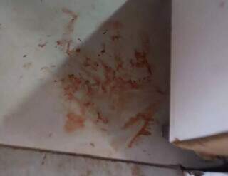 Marcas de sangue no chão da casa da vítima (Foto: Direto das Ruas)