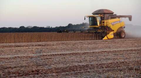 Colheita da soja em MS acelera e já supera 2 milhões de hectares