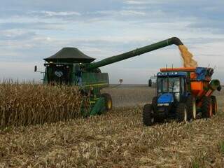 Colheita mecanizada de milho em MS; máquinas e implementos agrícolas podem ser financiados pelo FCO. (Foto: Arquivo/Famasul)