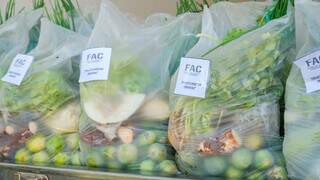 Kits de verduras que são distribuidos para população (Foto: divulgação FAC)