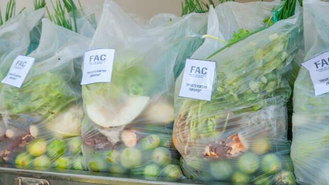 A&ccedil;&atilde;o social distribui verduras e legumes para moradores do Portal Caiob&aacute;