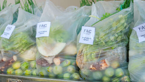 Ação social distribui verduras e legumes para moradores do Portal Caiobá