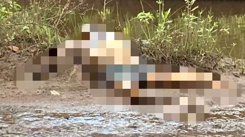 Pescador encontra corpo em decomposição às margens do Rio Pardo