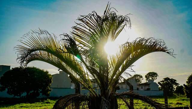Sem tr&eacute;gua, domingo ser&aacute; de calor pr&oacute;ximo dos 40&deg;C em MS