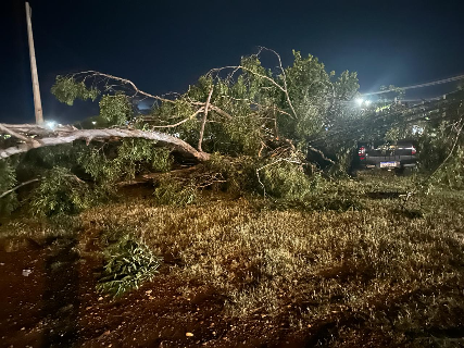 Ventania inclina poste, derruba árvore e deixa moradores sem energia elétrica