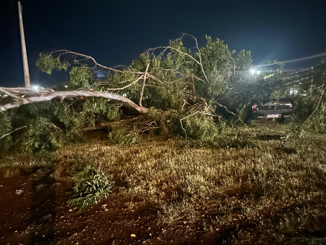 Ventania inclina poste, derruba &aacute;rvore e deixa moradores sem energia el&eacute;trica