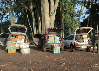 Material oriundo da fronteira estava distribuído no porta-malas de três veículos. (Foto: Reprodução/DOF)