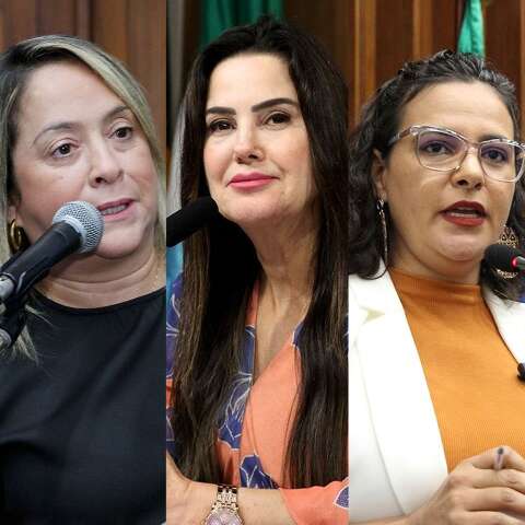 Elas chegaram &agrave; Assembleia e n&atilde;o aceitam mais a posi&ccedil;&atilde;o de &quot;vice&quot;