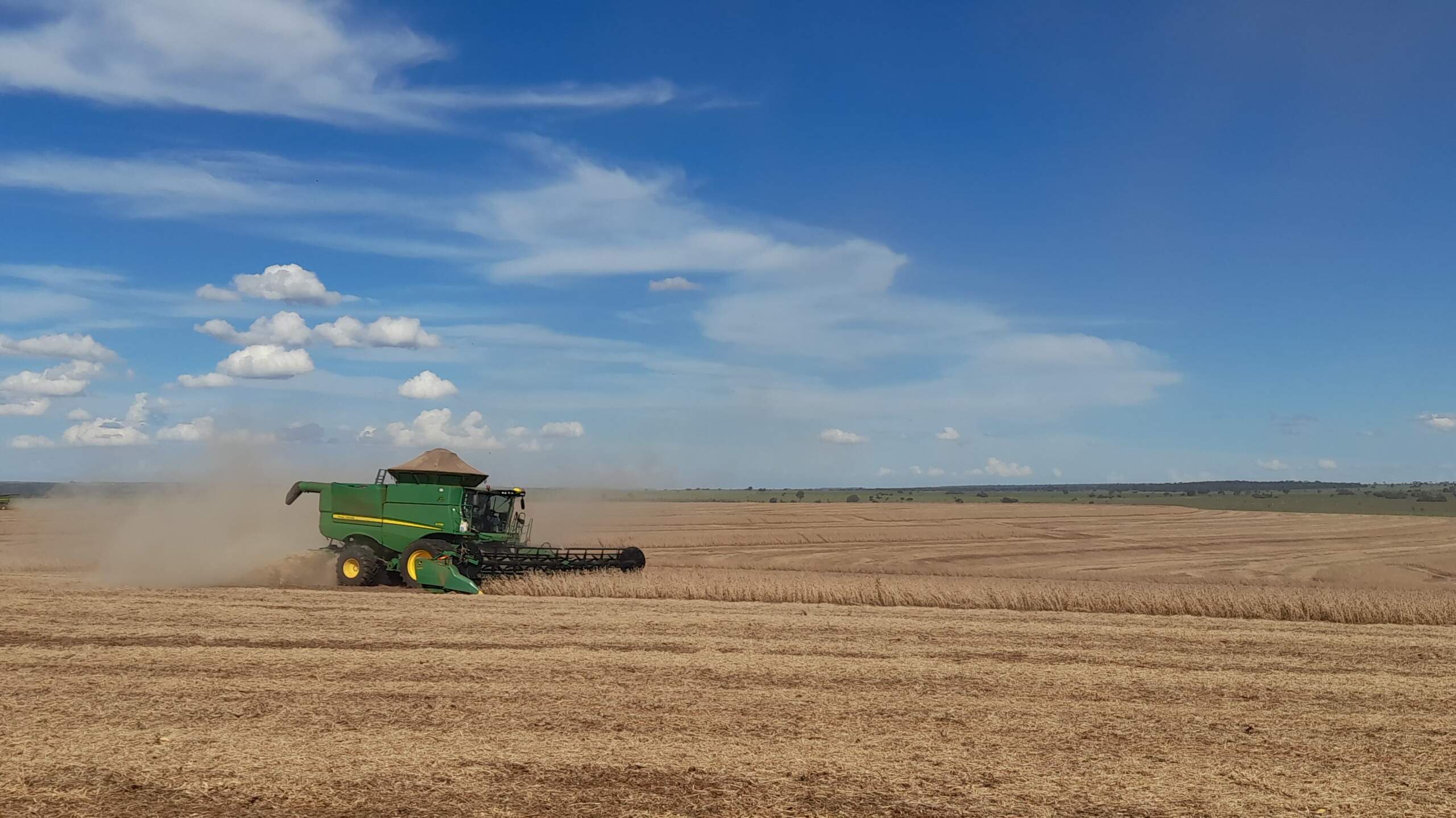 Soja amarga desvalorização de 35% em MS e produção perde 2 milhões de toneladas