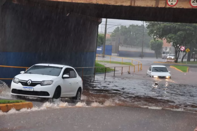 Com ventos de 78 km/h, temporal derruba &aacute;rvores e alaga viaduto