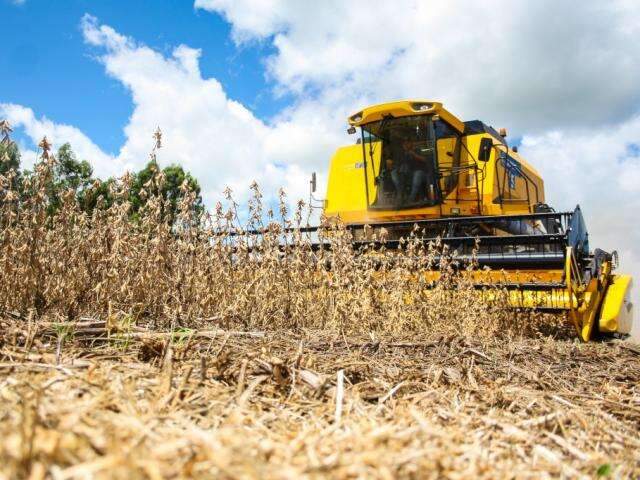 Em MS, 10 produtores rurais estavam &agrave; beira da fal&ecirc;ncia no ano passado 