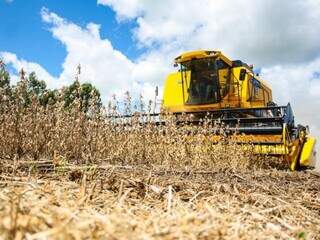 Colheita de soja em Mato Grosso do Sul (Foto: Arquivo/Campo Grande News)