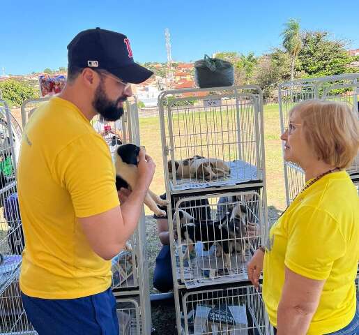 Com 50 c&atilde;es e gatos, feira de ado&ccedil;&atilde;o ser&aacute; realizada neste s&aacute;bado 